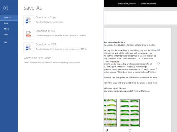 Download or print your documents
