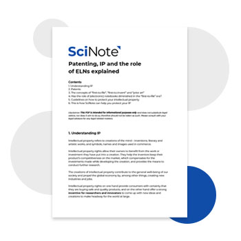 Document preview patenting