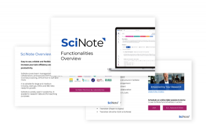 Document preview functionalities
