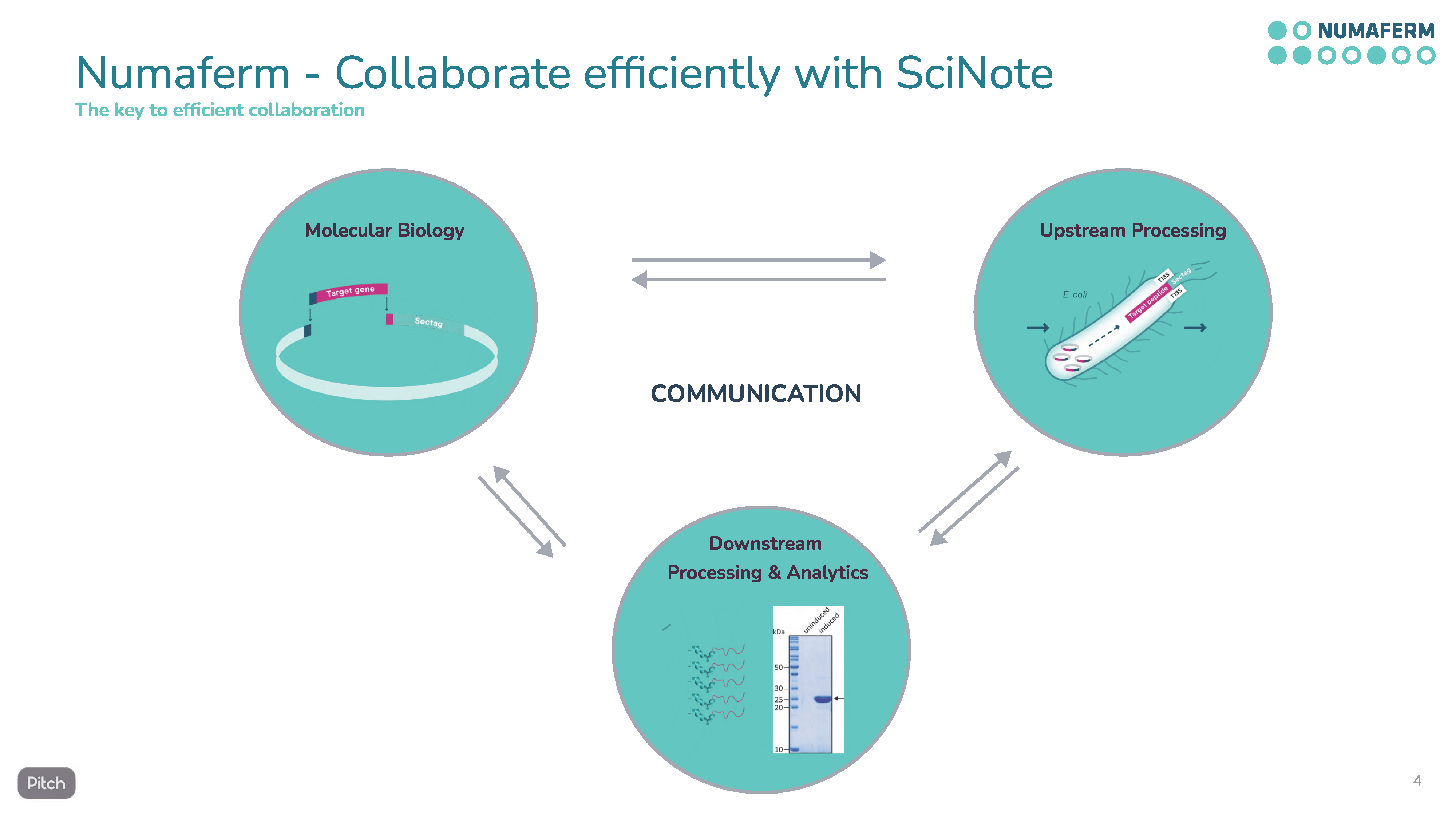 Numaferm departments communication