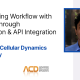 Streamlining Workflow with SciNote through Automation and API Integration