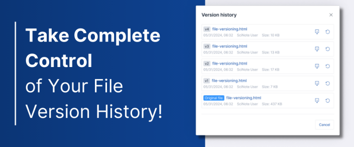 Introducing Version Control for Files: File Version History Now in ...